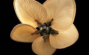 We did not find results for: Pin By Ceilingfan Com On Tropical Ceiling Fans Tropical Ceiling Fans Ceiling Fan Ceiling