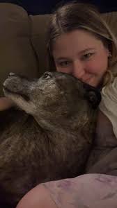 You all have been so amazing helping me to get my new life set up here in  Decatur!! We found a rental, a vet, and a doctor for my mom! Now I