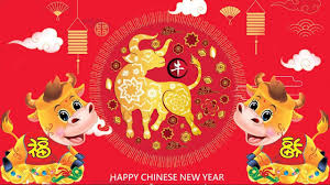 The site owner hides the web page description. Pin By Chinese Songs On Best Chinese Songs New Years Song Chinese New Year Newyear