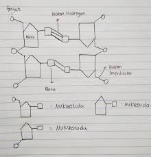 Dimana dna adalah dasar kimia hereditas (pewarisan) dan diorganisasikan kedalam gen, yang menjadi unit dasar informasi genetika. Tuliskan Nama Nama Bagian Dari Gambar Struktur Sepotong Adn Brainly Co Id