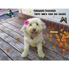 Check spelling or type a new query. Puppy Dogs Ice Cream Von Pleasant Peasants Bei Amazon Music Amazon De