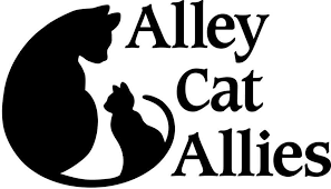 Alley Cat Allies Was The First Organization To Introduce And Advocate For Humane Methods Of Feral Cat Care Particular Alley Cat Allies Alley Cat Kitten Season