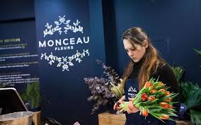 Elles sont une alternative idéale et 100% végétale aux fleurs artificielles et autres. Monceau Fleurs Pousse Sur Le Net Le Parisien