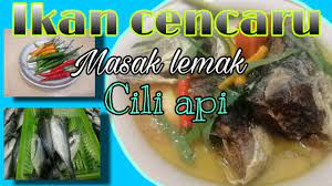 Ayam masak lemak cili api uses the most basic ingredients; Cencaru Fish Cooks Ikan Cencaru Masak Lemak Cili Api Youtube