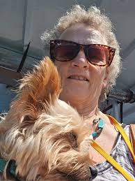 Managing yorkie's health issues with diet