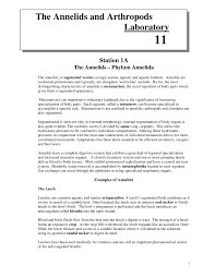 The Annelids And Arthropods General Biology Ii Lab 11 Biol 1407 Docsity