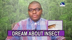 To see ants in a dream insinuates dissatisfaction with your work currentor a situation difficult to solve in your. Biblical Meaning Of Insects In Dreams Evangelist Joshua Dream Interpretation Youtube