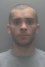 Named and shamed: 217 of the criminals dealt with by our courts in 2020 so  far