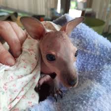 With so much traffic