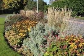 Find out the absolute best places to order plants below 45 summer flowers for a stunning home garden. How To Build A Flower Bed Starting A Flower Bed From Scratch Gardening Know How