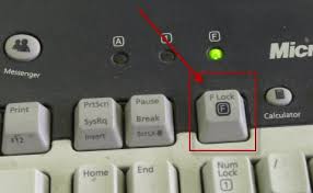 On most hp and compaq notebook pcs, it is necessary to press and hold the function key fn while pressing one of the f1 through f12 keys to . Fixed Function Keys Not Working On Windows 10 8 7