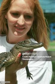 405 Baby Alligator Stock Photos, High-Res Pictures, and Images