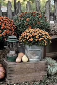 One of the most common decor items on porches is greenery, so select your favorite plants and find some unique planters for them. How To Decorate A Country Farmhouse Yard For Fall Rocky Hedge Farm