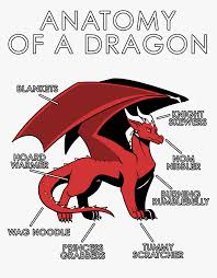 Das ist das neue ebay. Dragon Furry