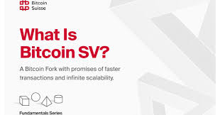 Bitcoin sv (satoshi vision) is the original bitcoin. Was Ist Eine Bitcoin Sv Research Fundamentals Bitcoin Suisse