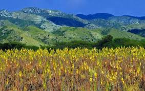 Palmar De Ocoa Rep Dominicana Beautiful Islands Dominican Republic Great Places