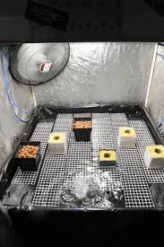 Check spelling or type a new query. Home Build Flood And Drain Hydroponics Grozinegrozine