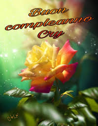 After booking, all of the property's details, including telephone and address, are provided in your booking. Buon Compleanno Cristiana Bellissimi Fiori Rose Belle Rosa Gialla