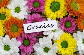 Check spelling or type a new query. Graciaswhich In Spanish Means Thank You Card With Colorful Flowers Stock Photo Picture And Royalty Free Image Image 40793461