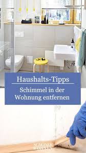 schimmel in der wohnung entfernen so geht s schimmel wohnung schimmel entfernen schimmel