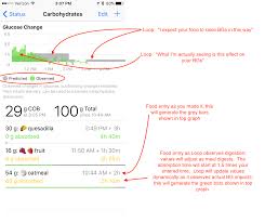 Using Ice Info Loopdocs