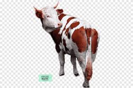 Maybe you would like to learn more about one of these? Baka Betty Boop Gif Animation Le Veau Animation Cow Goat Family Cartoon Png Pngegg