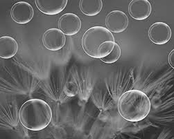 Get it as soon as tomorrow, apr 8. Amazon Com Bathroom Decor Bubble Art Print Black And White Wall Art Grey Dandelion Macro Photography Modern Bath Or Laundry Wall Decor Water Drops Picture Handmade