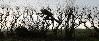 The way of the wind is an upcoming drama film written and directed by terrence malick. Leaning Into The Wind Andy Goldsworthy Movie Review 2018 Roger Ebert
