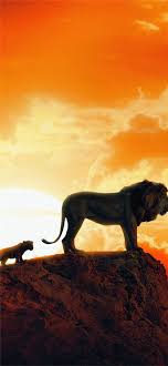 Here are 10 cool facts about lions, acc0rding to the world wildlife fund and just fun facts. The Lion King New Poster Iphone 11 Wallpapers Free Download