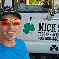 TOP 10 BEST Arborist in Shawnee, OK