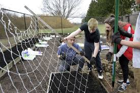 Bethel freshmen give back to community