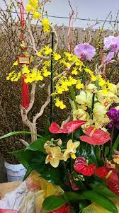 Owner leroy franzoia firmly believes in providing california flowers fresh from the fields to you! California Flowers Wholesale Home Facebook