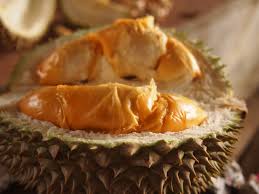 We promote responsible tourism, environment conservation, educational, sustainable and low impact to nature. Top Fruits Factory Year Of The Durian