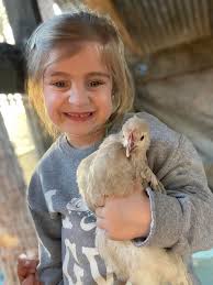 Chicken Sign Collection and Feeding Tubes