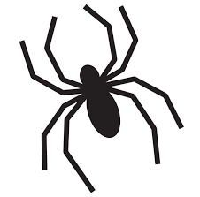 Spider Print Out Abobora De Halloween Aboboras Esculpidas Imprimiveis