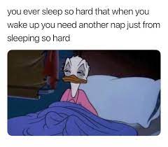 When You Wake Up From A Nap Memes