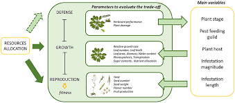 Dragon's lair can help with this process with various kill/control methods. Frontiers The Price Of The Induced Defense Against Pests A Meta Analysis Plant Science