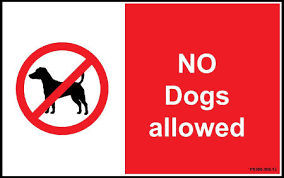 Check spelling or type a new query. 300 X 200mm No Dogs Allowed Sign