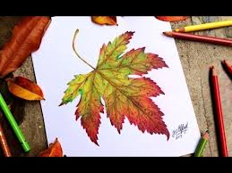 We did not find results for: Speed Drawing Autumn Leaf Youtube