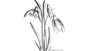 Find and save images from the desene in creion collection by trutucasiana (trutucasiana) on we heart it, your everyday app to get lost in what you love. Desen In Creion Cu Ghiocei Desene In Creion De Primavara In Creion How To Draw Snowdrops Youtube