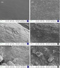 Surface Modification Of Ramie Fibers With Silanized Cnts