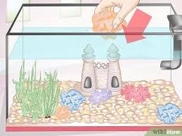How to make homemade fish tank decorations. How To Clean Aquarium Decorations 15 Steps With Pictures