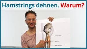 Chronically tight hamstrings are a major nuisance no doubt, but with these tips and tricks hiding up our sleeve, your pain will soon be a problem of the past. Hamstrings Dehnen 4 Yoga Ubungen Beine Inkl Anatomie Gegen Ruckenschmerzen Youtube