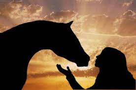 L Amour Entre Le Cheval Et L Homme Blog De Miss Folle De Chevaux Les articles du journal et toute l'actualité en continu : l amour entre le cheval et l homme