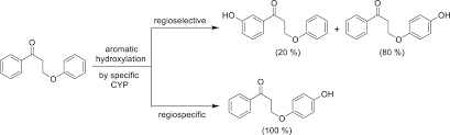 2) click on the coloring page image in the bottom half of the screen to make that frame active. Glossary And Tutorial Of Xenobiotic Metabolism Terms Used During Small Molecule Drug Discovery And Development Iupac Technical Report