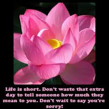 Flowers Only My Honeys Place Flowers Flower Quotes Short Flower Quotes