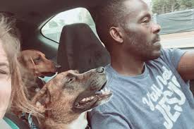 Fundraiser for Rose Faris by Heather Rosa : In loving memory of Wayne, to  assist Rosie