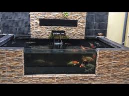 Filter Kolam Koi Indoor Airnya Bening Sekali Youtube