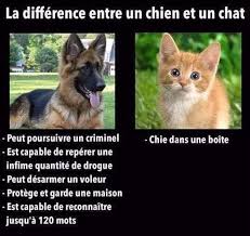 C Est Vendredi C Est Le Bordel 375 Funny Friday Memes Friday Funny Pictures Friday Humor