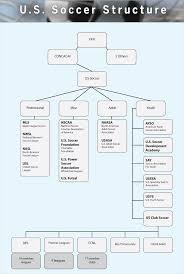 Professional Sports Team Organizational Chart Www